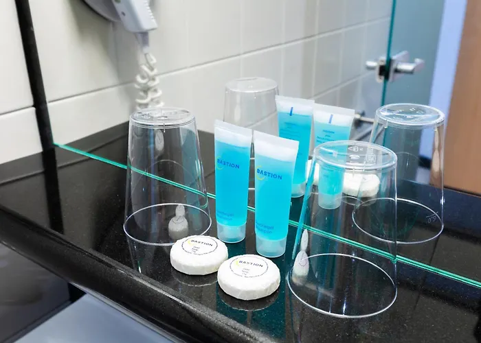 ホテル バスティオン アレクサンダー 4*